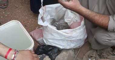صور.. طلاسم على رأس قرموط وجماجم ماعز فى حملة تطهير مقابر قرية بالقناطر 