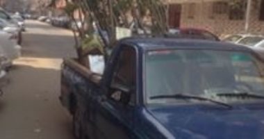 "للوقاية من الشمس".. مبادرة أهالى بروتكس لتشجير الحى بـ140 شجرة فى بورسعيد
