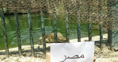التمساحان سامى وعبلة يتوقعان نتيجة مباراة مصر وأوغندا.. فيديو