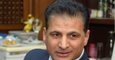 الاتحاد العالمى للمواطن المصرى بالخارج: احتفالنا بثورة 30 يونيو رسالة للعالم