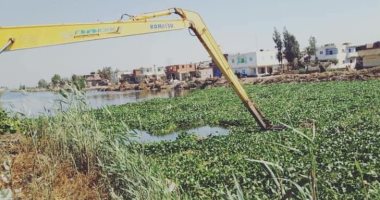 وزارة الرى تراقب جودة ونوعية المياه فى الترع والمصارف.. رصد لحظى باستخدام الموبايل فى 270 موقعا.. متابعة زراعات الأرز والموز بالأقمار الصناعية كل 5 أيام.. والرصد بأحدث وسائل التكنولوجيا لتحديد الاحتياجات