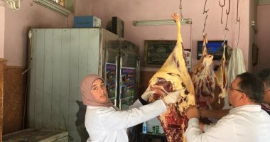 صور.. "بيطرى الدقهلية" يضبط لحوم فاسدة تباع بمحلات جزارة
