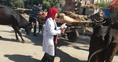 "الزراعة" تكشف عدة أسباب لظهور الجلد العقدى للأبقار وحزمة إجراءات الوقاية