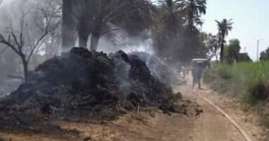 صور.. السيطرة علي حريق أسفر عن تفحم 30 نخلة وحرق ماكينة ري دون إصابات بإسنا