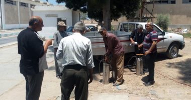 مجلس مدينة العريش يطلق حملة مكافحة القوارض