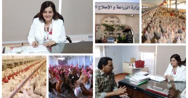 "صناعة الكبار والصغار".. تفاصيل إقامة أكبر 9 مشروعات لتطوير مزارع الدواجن بـ9.1 مليار جنيه.. نائب وزير الزراعة: نستهدف محاصرة الأمراض.. وتكشف: تخصيص 48 ألف فدان بـ5 محافظات لإنتاج 463 مليون طائر