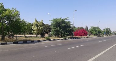 صور.. قرية منايف بالإسماعيلية تعانى من نقص الخدمات.. المياه لا تصلح للشرب