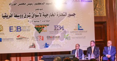 صور.. وزارة قطاع الأعمال: تخفيض 20%؜ على بضائع مشروع جسور إفريقيا