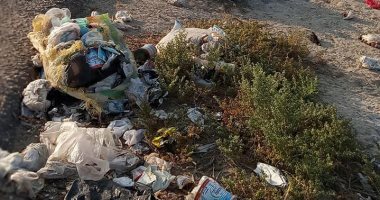 مدينة بئر العبد بسيناء تزيل مخلفات الجزارين بقرية قاطية