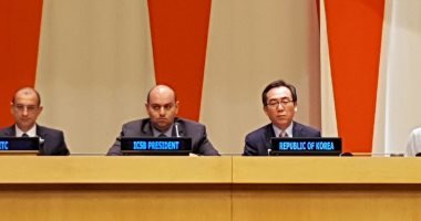رئيس المجلس الدولى للمشروعات الصغيرة والمتوسطة: مصر أصبحت محط أنظار العالم