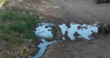 شكوى من انتشار مياه الصرف الصحى بقرية "دخميس" بمركز المحلة
