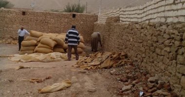 صور..العقارب تهدد حياة سكان أسوان..والأهالى: الأمصال لا تكفى واللدغات يومياً