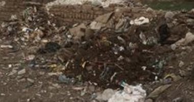 رفع 100 طن قمامة وتشجير مدخل قرية كفر مويس ببنها