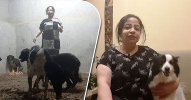 صور..أول ملجأ للكلاب الضالة بأسيوط.. صاحبة الفكرة: دهس سيارة لكلبين دفعنى لإقامته.. أنقلهم بسيارة خاصة لتطعيمهم وأسافر لمعالجتهم بالقاهرة.. أنشأت صفحات على مواقع التواصل لإنقاذهم.. وأنفق عليهم 5 آلاف جنيه شهريا