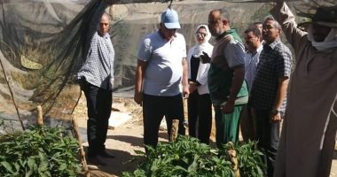 محافظ الوادى الجديد يتفقد مشروع الصوب الزراعية بالداخلة.. صور 
