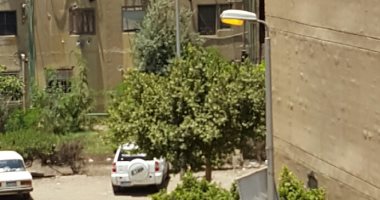 صورة.. أعمدة الإنارة مضاءة نهارًا بالمشروع السويسرى فى مدينة نصر