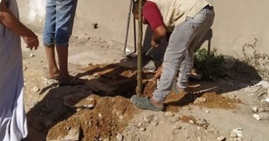أهالى بورسعيد يطلقون مبادرة لتشجير المحافظة بـ 3000 شجرة لتجميل المدينة
