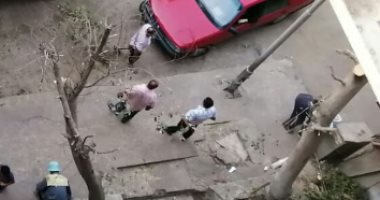 شكاوى من التقليم الجائر لأشجار فى شوارع الدقى بالجيزة