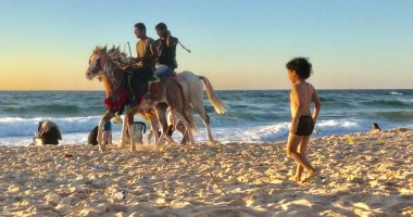 صور.. الخيل والجمال وسيلة ترفيه المصطافين على شاطئ العريش بشمال سيناء