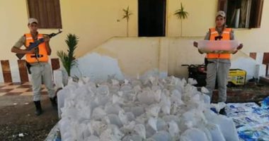المسطحات المائية بالبرلس تضبط 13 ألف وحدة زريعة أسماك قبل إلقائها بالبحيرة