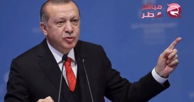 التلفزيون الألمانى: سلطة أردوغان تتآكل