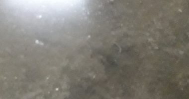 مياه فى جراج تهدد حياة سكان عقار بشارع محمد نظمى بالهرم