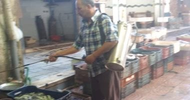 صور .. تنفيذ حملة مكافحة قوارض وحشرات بالعريش 