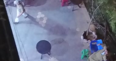 شكوى من تحول شقق الدور الأرضى السكنية إلى مقاهى بـ6 أكتوبر