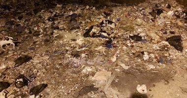 صور.. اضبط مخالفة.. أكوام القمامة تحاصر المنتزة شرقا والعامرية غربا بالإسكندرية