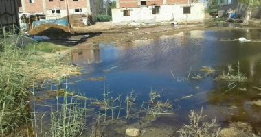 مياه الصرف تغزو المنازل والمزروعات بقرية بسنديلة فى الدقهلية