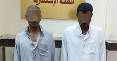 ضبط 4 عناصر إجرامية بحوزتهم 35 طربة حشيش بالإسكندرية