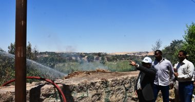 محافظ أسوان يشرف على عملية إخماد حريق بأشجار الحلف والهيش ويوجه بإزالتها‎.. صور
