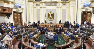 ننشر التقرير البرلمانى حول مشروع قانون ممارسة العمل الأهلى