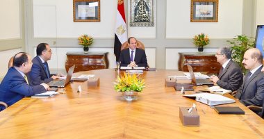 السيسي يوجه باستكمال خطة الارتقاء بمنظومة الكهرباء وتطوير بنيتها التحتية
