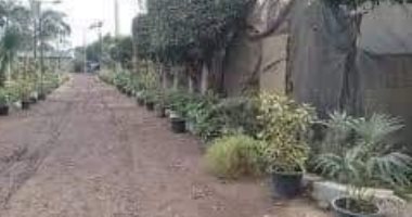 أهالى البراجيل يطالبون بوقف قرار لتحويل مشتل الى مقلب قمامة ..صور