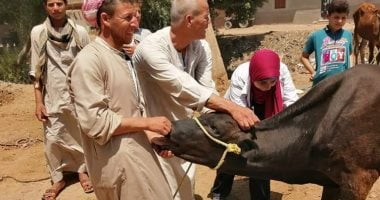 صور.. علاج 3 آلاف رأس ماشية خلال قافلة بيطرية بمركز منفلوط