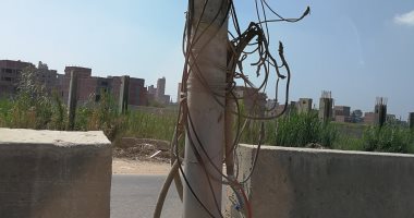 اضبط مخالفة.. أعمدة إنارة وكابلات مكشوفة تنذر بكارثة بالغربية