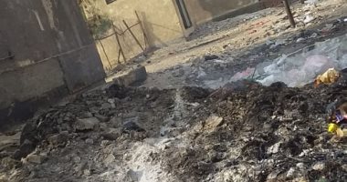 شكوى من انتشار القمامة بمنطقة مساكن المحمودية بالنهضة