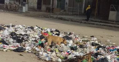 شكوى من انتشار الكلاب الضالة بملاعب شيحة بالنهضة بحى السلام ثان