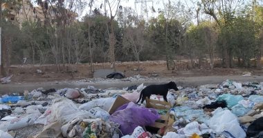 رفع 50 طن قمامة ومخلفات بالترع والشوارع خلال حملة نظافة بمركز القوصية