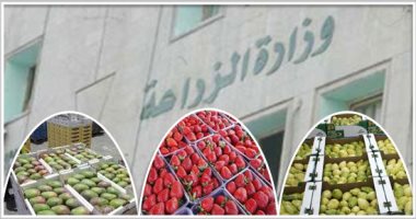 الزراعة: تسهيلات لمنح تشغيل صوب الخضر  و20 جنيها للرخصة لزيادة الإنتاج