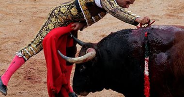 إصابة 6 أشخاص فى آخر أيام مهرجان الثيران بإسبانيا
