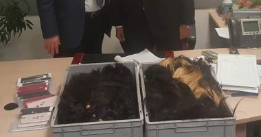 ضبط راكب بالمطار حاول تهريب كمية من الشعر الطبيعى وهواتف أيفون.. صور 