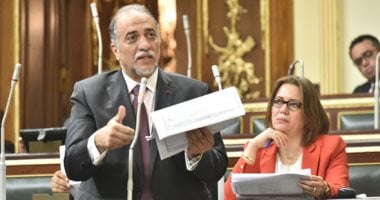 إلزام المجلس القومى للإعاقة بعقد اجتماع كل شهرين على الأقل
