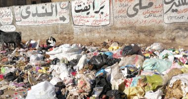  صور.. القمامه تحاصر المنطقة الصناعية القديمة بالمحلة