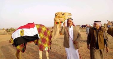 60 هجينا مصريا يشارك فى سباق ولى العهد بالسعودية