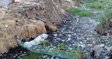 أهالى عزبة الغرباوى بمحافظة البحيرة يطالبون بتوفير مياه صالحة للرى