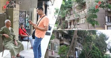 محافظ الجيزة يرد على سكان حى الدقى بشأن شكاوى "مذبحة الأشجار" 