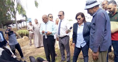 صور .. نائب وزير الزراعة تتابع أعمال التحصين والتسجيل بالأكمنة بكفر الشيخ