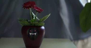 وعاء ذكى للنباتات يرصد حالتها عن بعد.. صور وفيديو